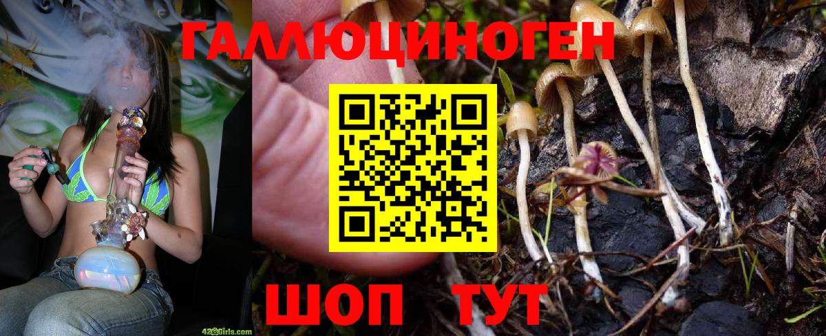 Псилоцибиновые грибы Cubensis  купить наркотик  Вятские Поляны  Вход с VPN 